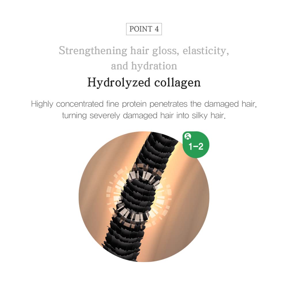 jmella IN FRANCE Hair Care (16.9 Floz, Queen5 Shampoo)