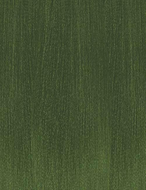 [5 PACK DEAL] Outre X-Pression Braid-Pre Stretched Braid 52" 3X 5 Packs (OLIVE)