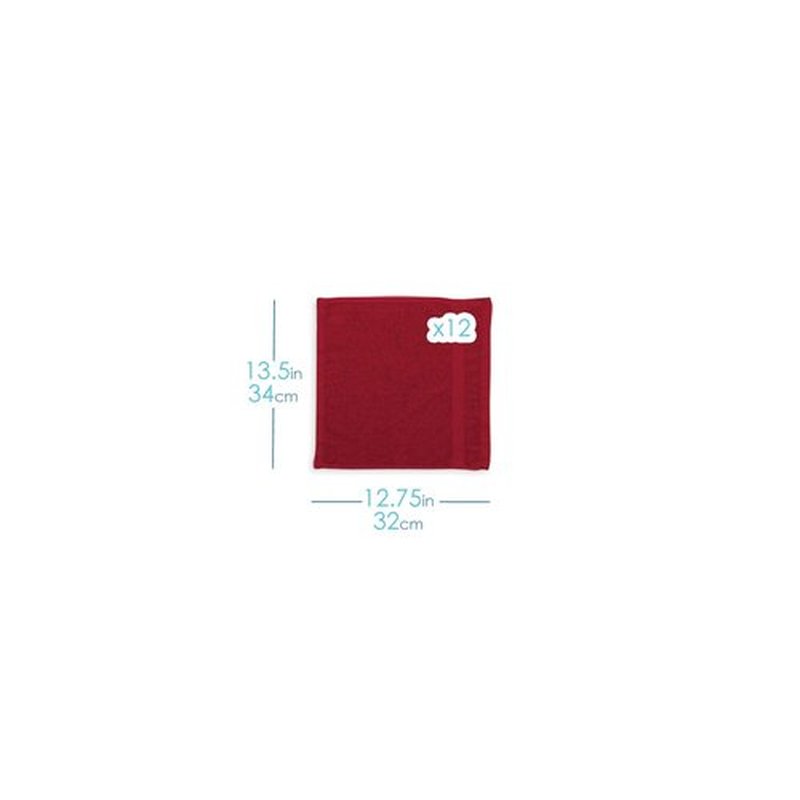 Hearth & Harbor Washcloths 12 Pack - 100% Cotton Washcloth for Body and face, High Absorbent and Soft 13"x13" Body Wash Cloth, Quick Dry - Ice Blue Washcloths