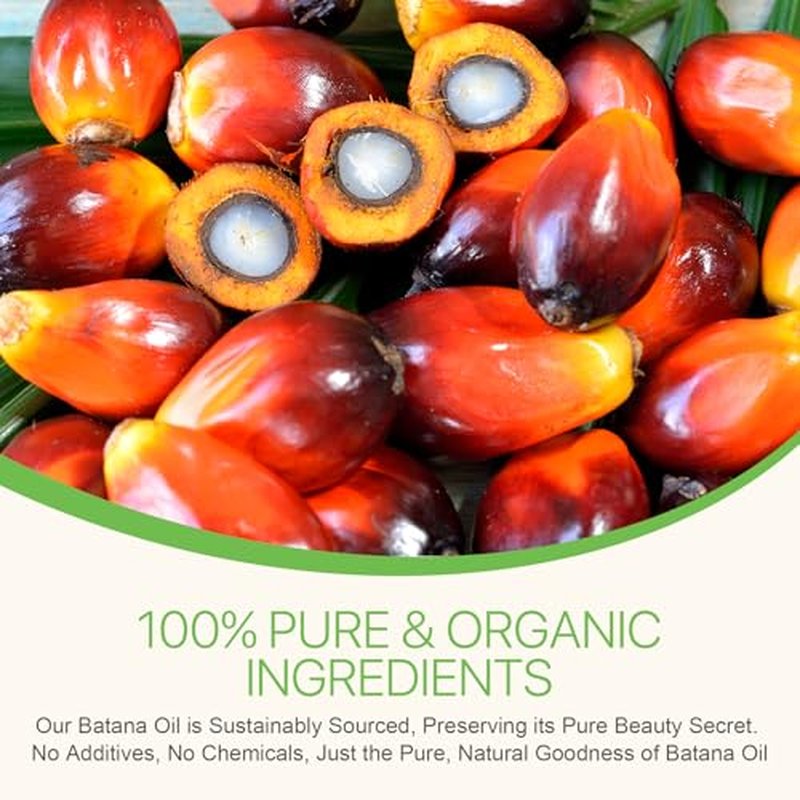 Raw Batana Oil for Hair Growth and Repair -100% Pure, Unrefined Oil from Honduran Rainforests Prevent Hair Loss and Enhances Hair Thickness in Men & Women