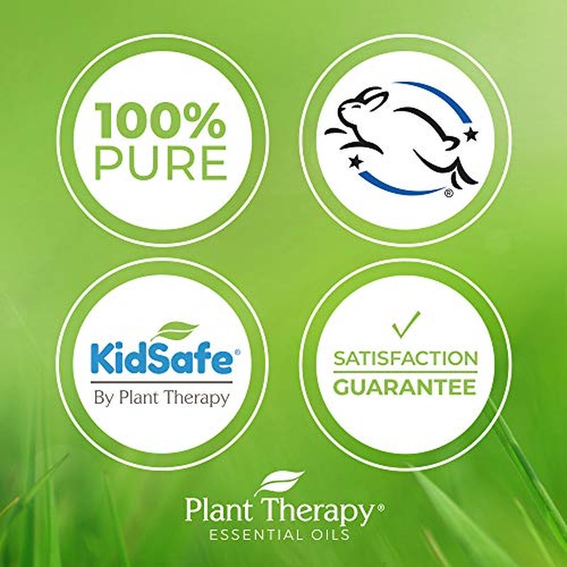 Plant Therapy Healing Balm 4 oz 100% Pure & Natural, Nutrient-Rich Botanical Formula, Soothing Ingredients: Shea Butter, Tamanu Oil, and Calendula Extract