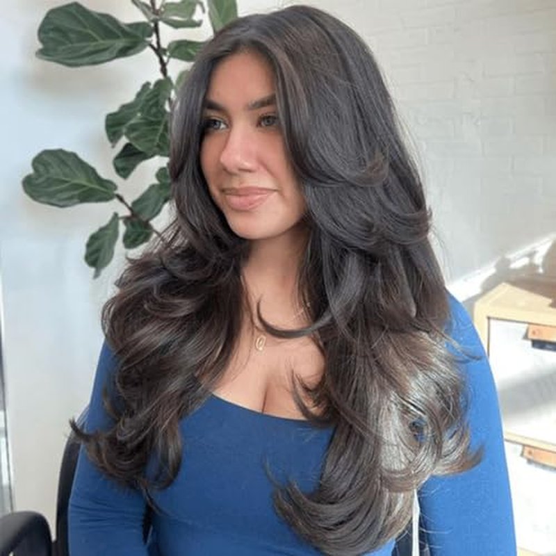 Jolelyne Layered Wavy Wigs with Curtain Bangs for Women Snythetic Butterfly Haircut Natural Black Wig with Bangs Hair Wig for Women Layered Straight Heat Resistant Wigs for Daily Party Use (2#)