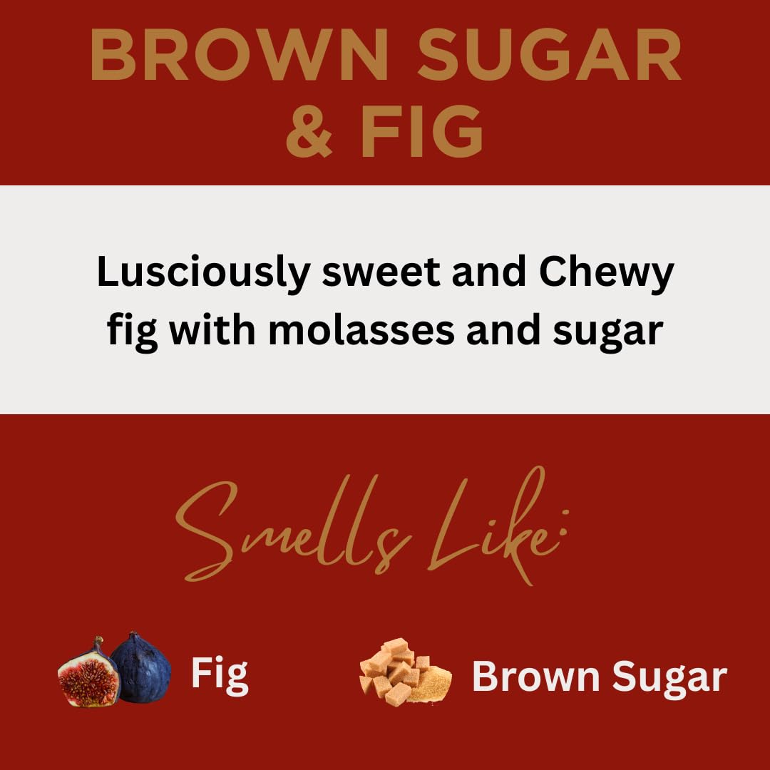 Black Canyon Brown Sugar & Fig Scented Body Lotion with Lanolin and Jojoba Oil, 12 Oz