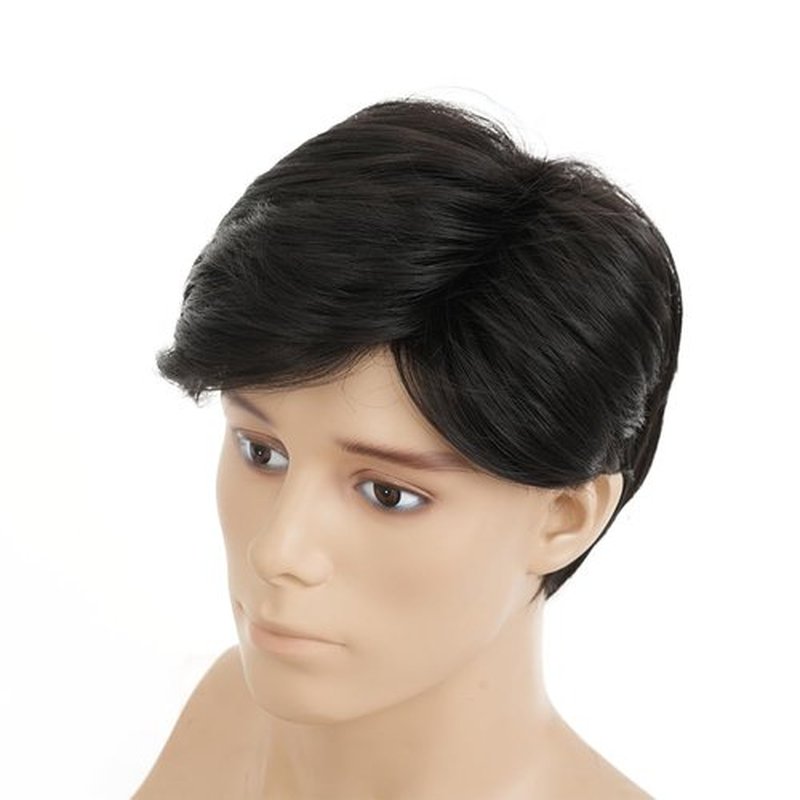 Amnenl Black Short Wig for Men Side Part Straight Natural Synthetic Heat Resistant Wig for Daily Party Use