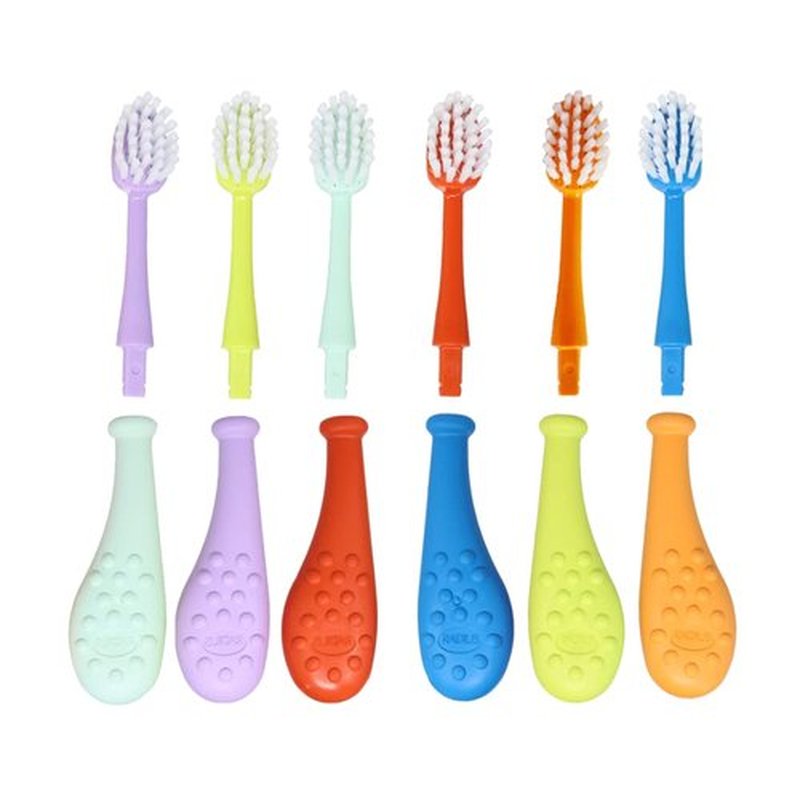 RADIUS Big Kidz Forever Brush Replaceable Head Toothbrush for Children, 6 Years and Up, BPA Free ADA Accepted for Growing Teeth and Gums - Right and Left Handed, Extra Soft