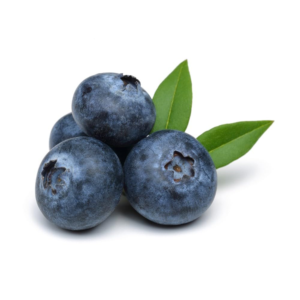 OliveNation Blueberry Flavor Extract TTB, PG Free, Natural - 8 fl oz