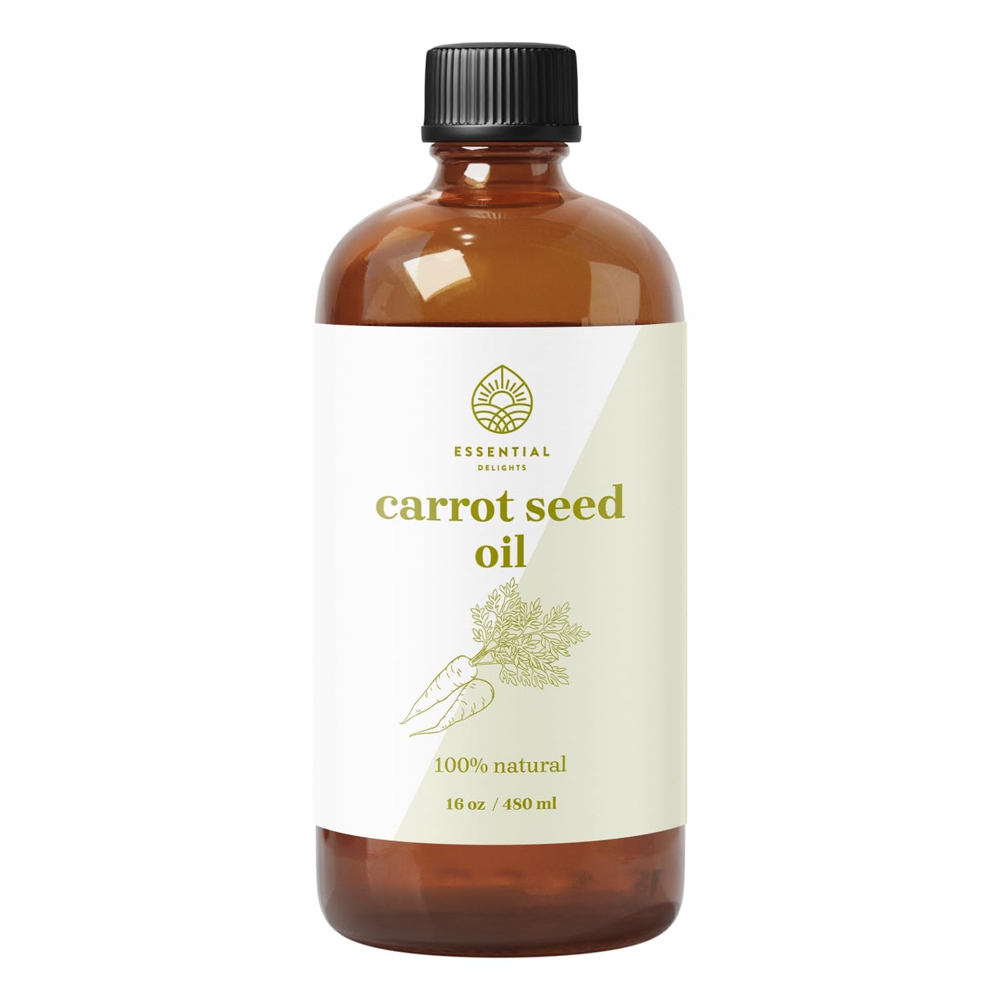 Essential Delights Carrot Seed Carrier Oil Premium Undiluted Carrier Oil | for Skin, Face, Body, Hair Revitalization | Vegan & Cruelty Free (16 Fl.Oz.)