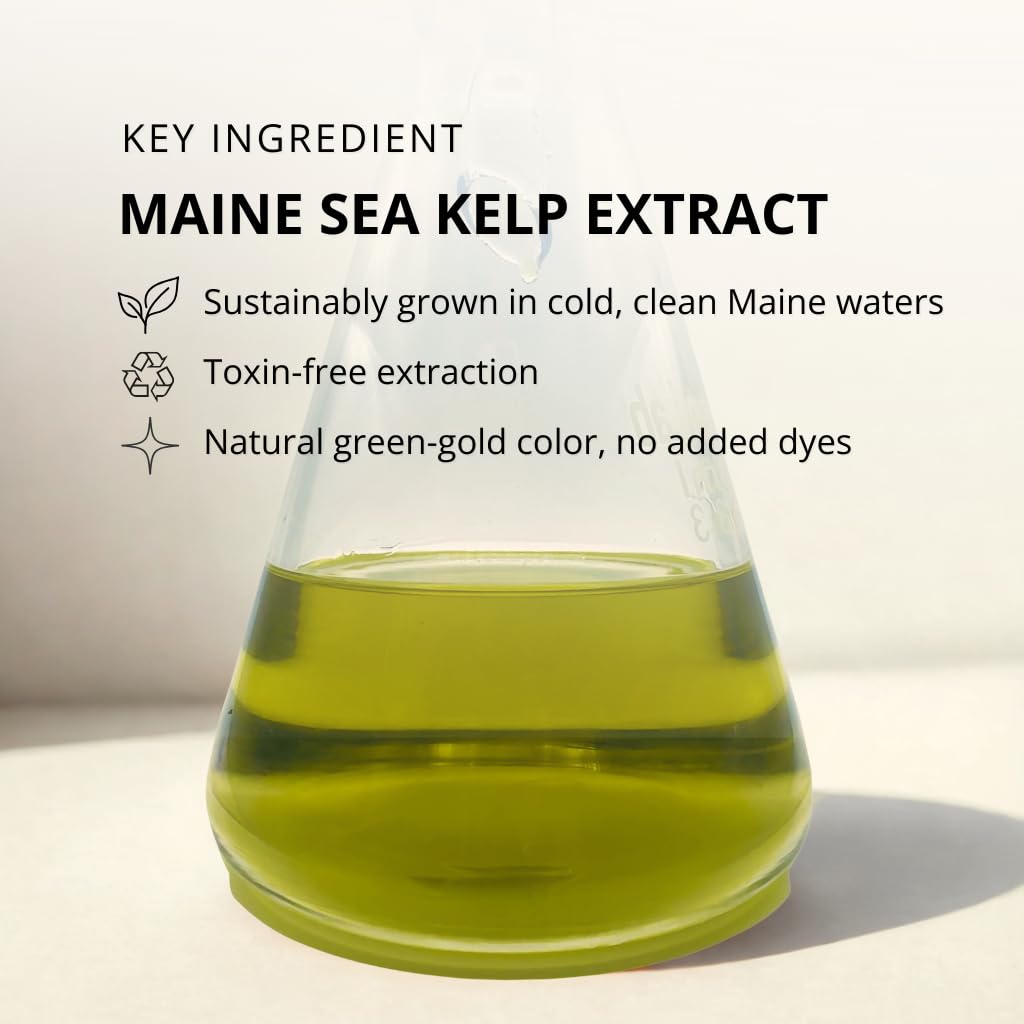 KelpGlow Facial Oil with Kelp Extract - Fragrance Free - Nourishing Face Oil for Glowing Skin - Clean & Natural Ingredients, Non-Greasy Formula - 30ml/1oz