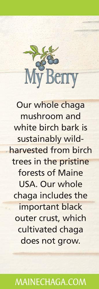 My Berry Maine Chaga Mushroom & Birch Bark Extract Liquid | 2oz | Wild Harvested & Double Extracted | USA & Canadian Grown Chaga