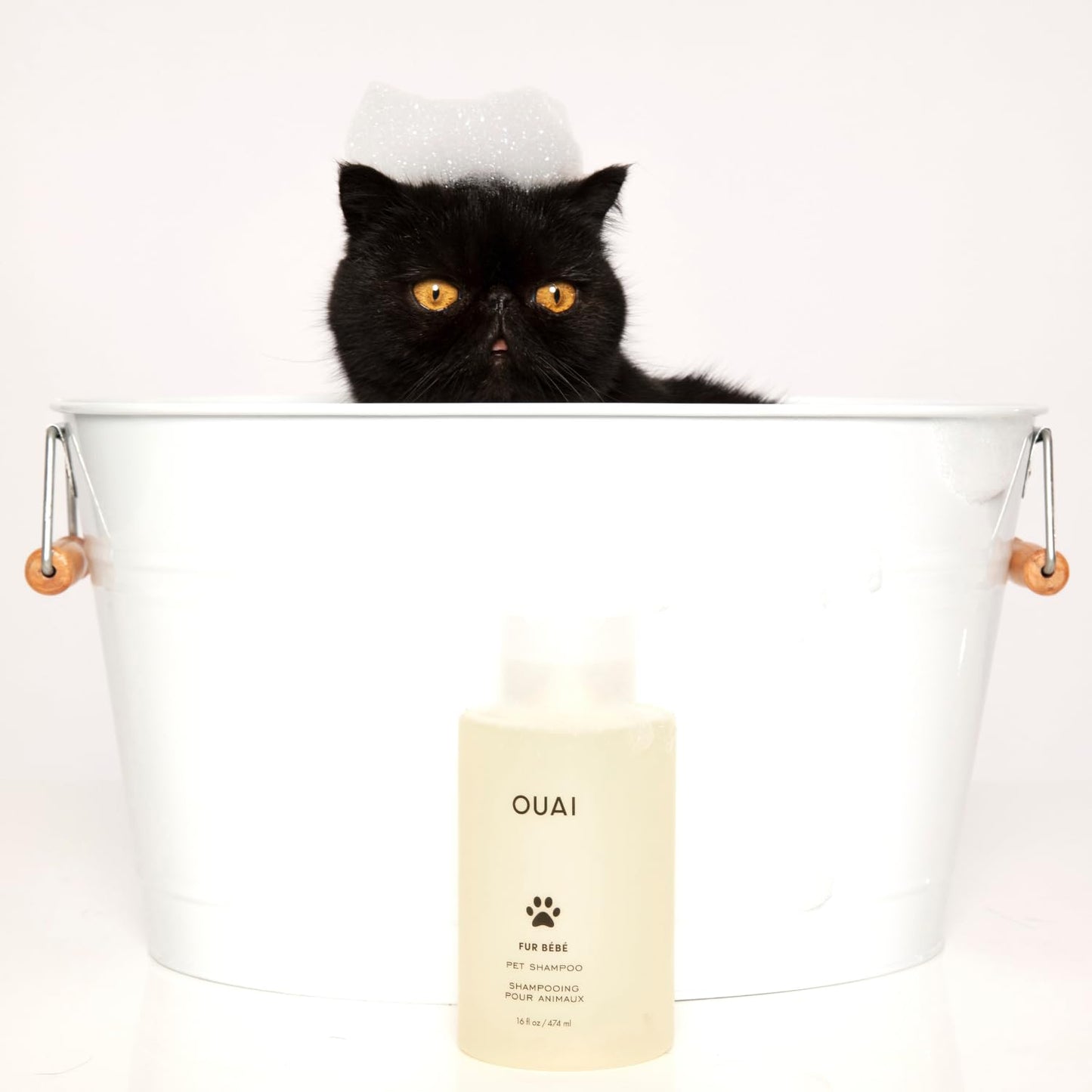 OUAI Fur Bébé Pet Shampoo - Cat & Dog Shampoo for Gentle Cleansing, Hydration & Shine - Vegan & Cruelty-Free Pet Supplies with Aloe Vera & Panthenol - Mercer Street Scent (16 Fl oz)