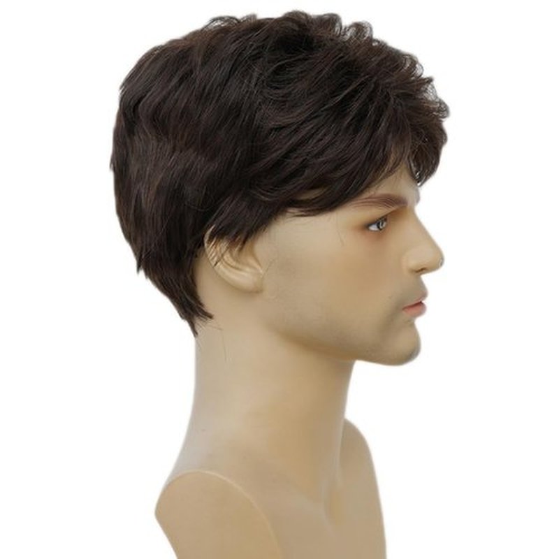 Amnenl Brown Short Wigs for Men Natural Layered Synthetic Hair Wig for Male Guy
