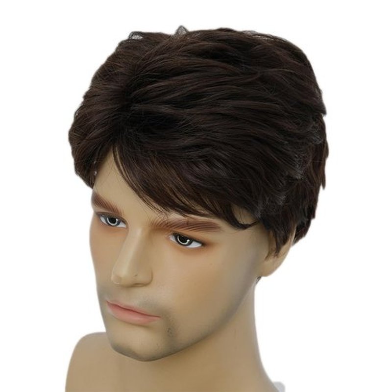Amnenl Brown Short Wigs for Men Natural Layered Synthetic Hair Wig for Male Guy