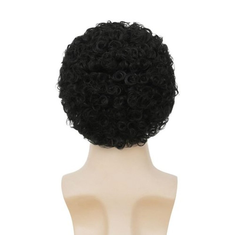 Salaibs Mens Black Afro Curly Wig Short Rocker Wig California Halloween Cosplay Costume Synthetic Replacement Wigs