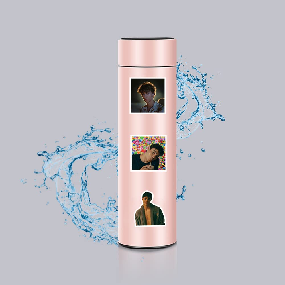 60 Pcs The Summer I Turned Pretty Classic TV Fashion Aesthetic Waterproof Vinyl Stickers for Birthday Party Supplies Decoration Favors for Water Bottles Laptop Suitcase