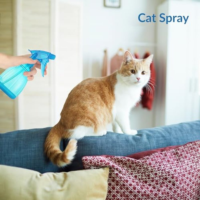 DilaBee Spray Bottles (12 Oz) Water Spray Bottle for Hair, Plants, Cleaning Solutions, Cooking, BBQ, Squirt Bottle for Cats - Empty Spray Bottles - BPA-Free - Multicolor (Blue, 1 Pack)