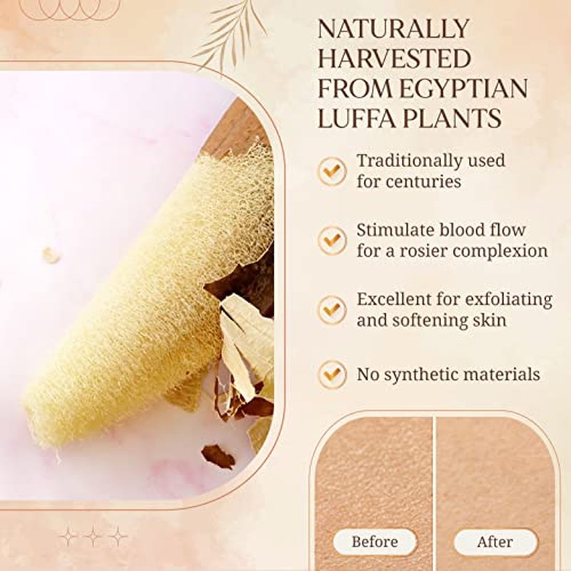 All Natural Loofah Sponge, Pack of 1 Real Egyptian Bath & Shower Exfoliating Loofa Scrubber Sponges for Face, Back & Body, Eco Friendly, No Toxic Chemicals, 6" x 6" by Crafts of Egypt