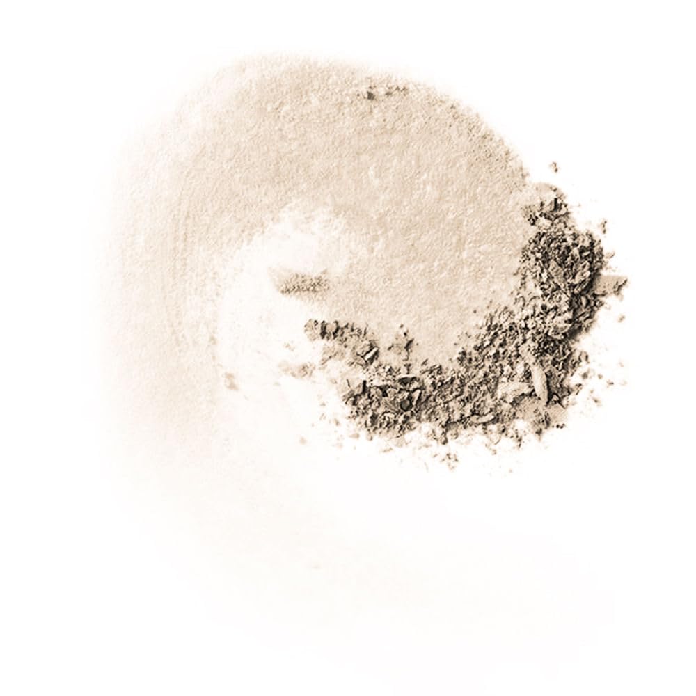 MAC Studio Fix Pro Set + Blur Weightless Loose Powder - Light (Light beige with neutral undertone) - 0.22 oz / 6.5 g