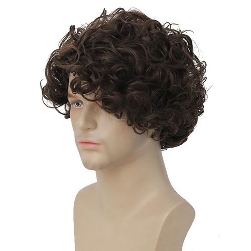 Tseses Curly Brown Short Wigs for Men Layered Fluffy Synthetic Fiber Wigs for Daily Party Mens Costume Wig