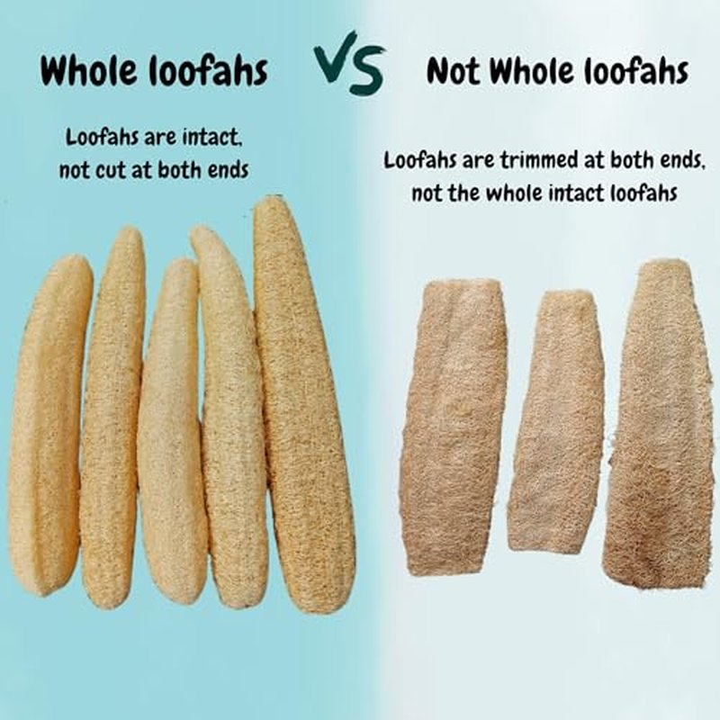 10 Pcs (7 – 10 Inches) Shower Loofah Exfoliating Body Scrubber | Natural Loofah Sponge | Bath for Loofah for Men and Women | Pack of 10