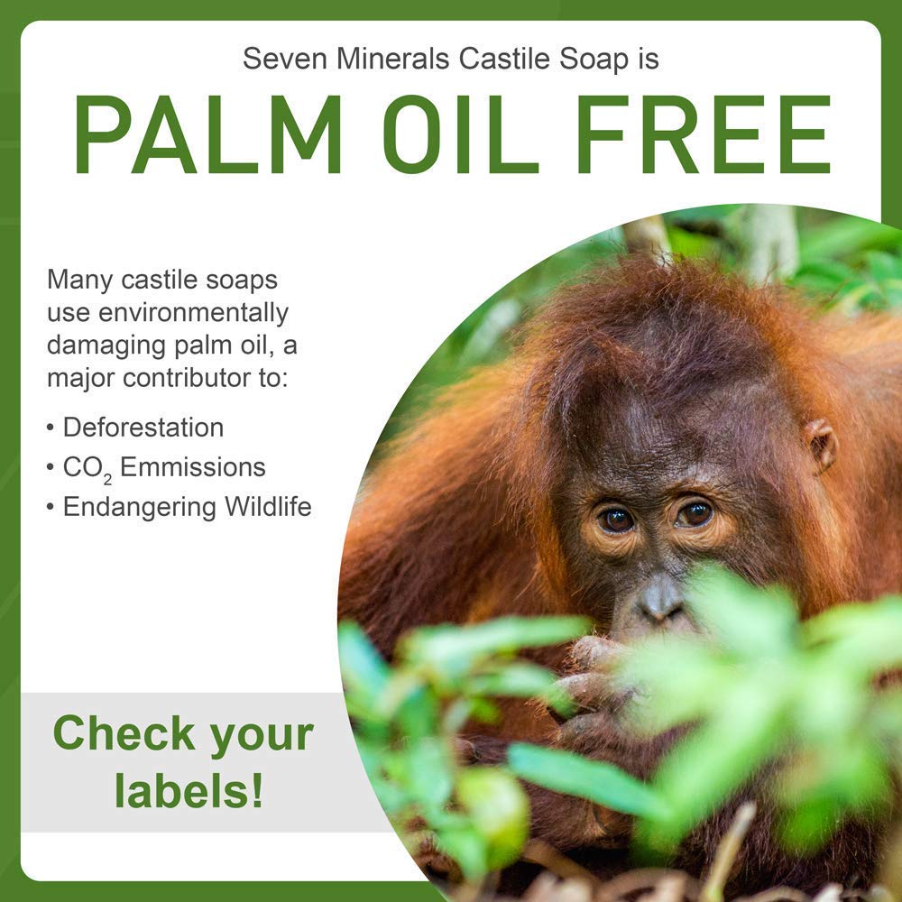Seven Minerals Pure Castile Soap, Peppermint - No Palm Oil, GMO-Free - Gentle Liquid Soap For Sensitive Skin & Baby Wash - All Natural Vegan Formula with Organic Carrier Oils (33.8 fl oz)