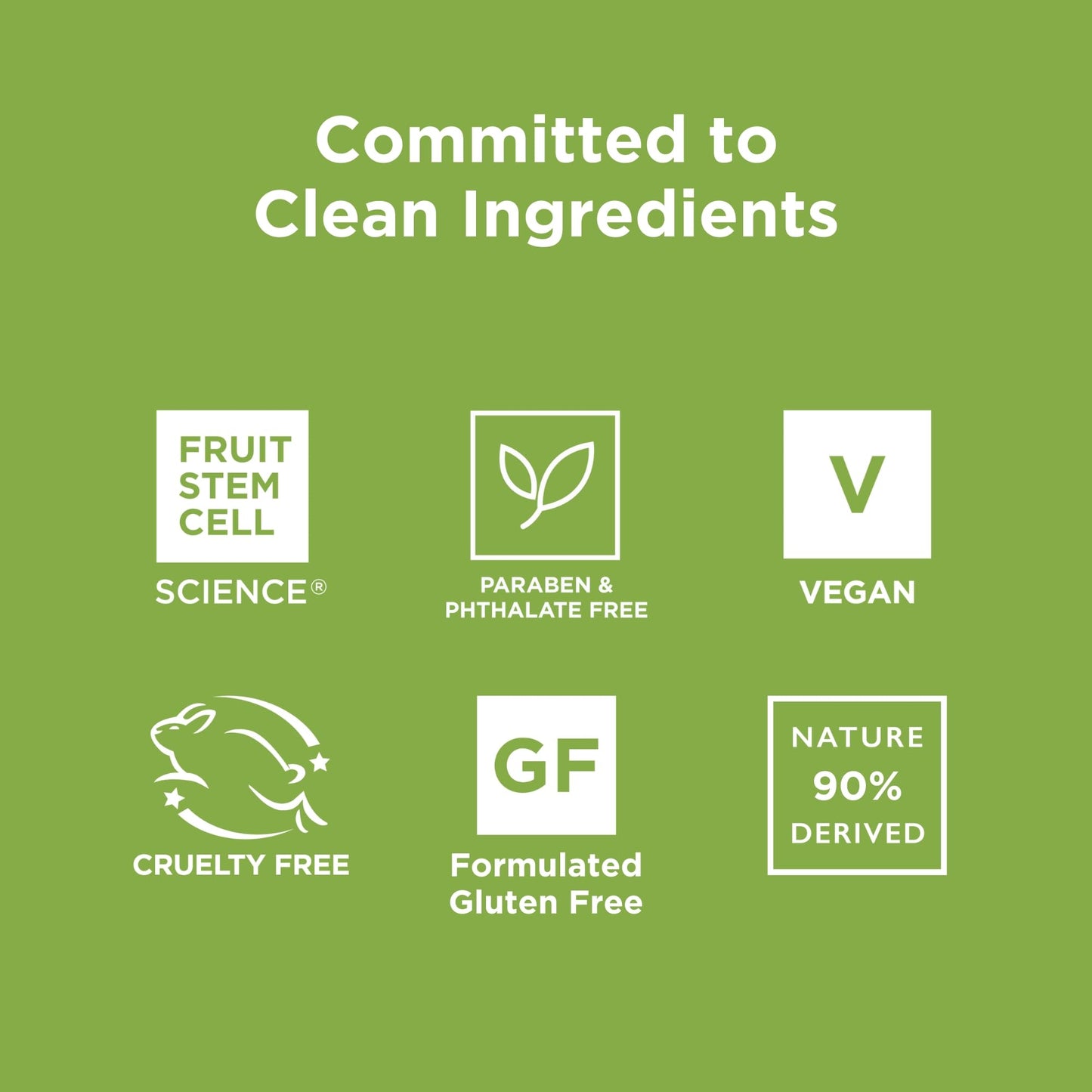 Andalou Naturals Citrus Sunflower Uplifting Shower Gel, 8.5 Ounce