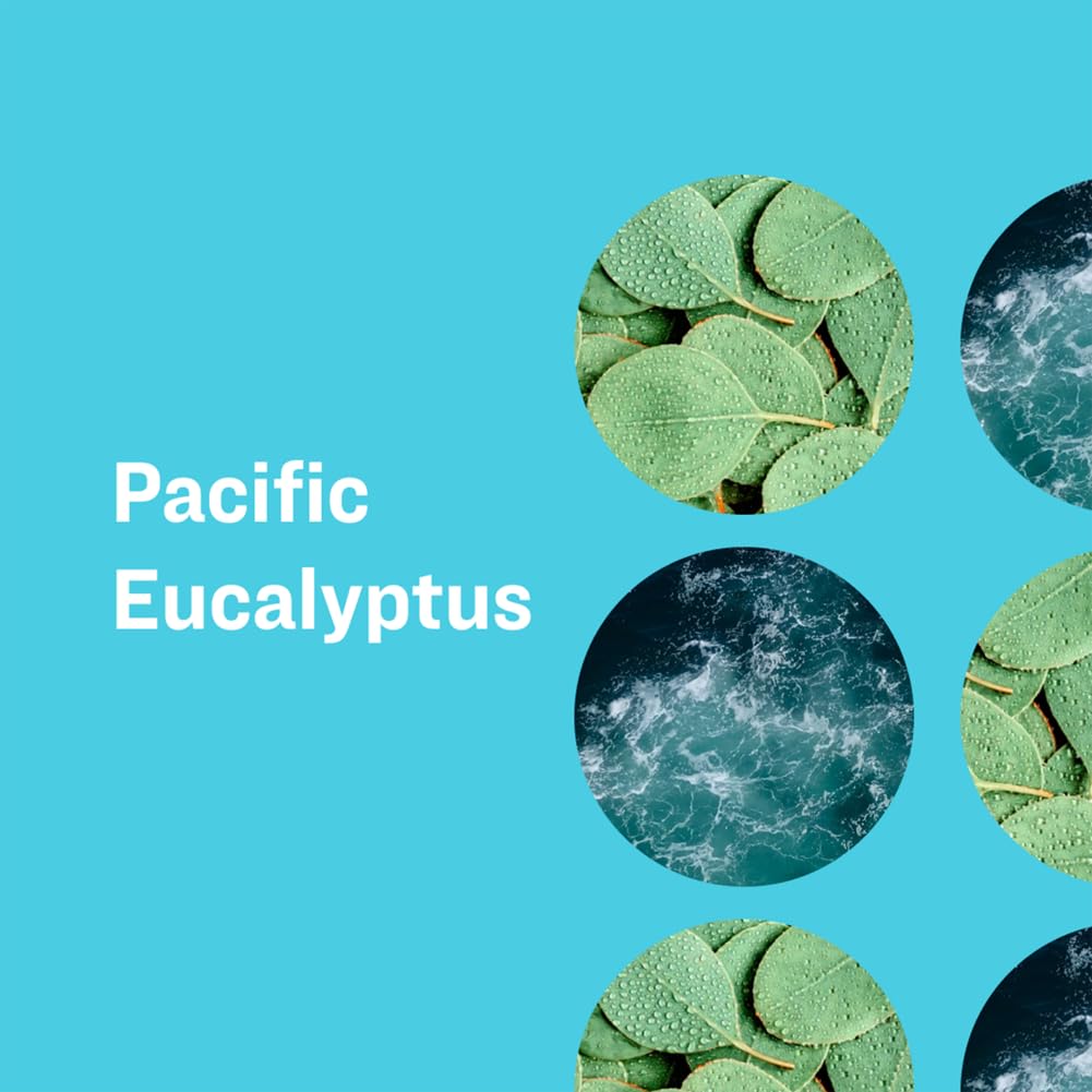 SOAP PACIFIC EUCALYPTUS