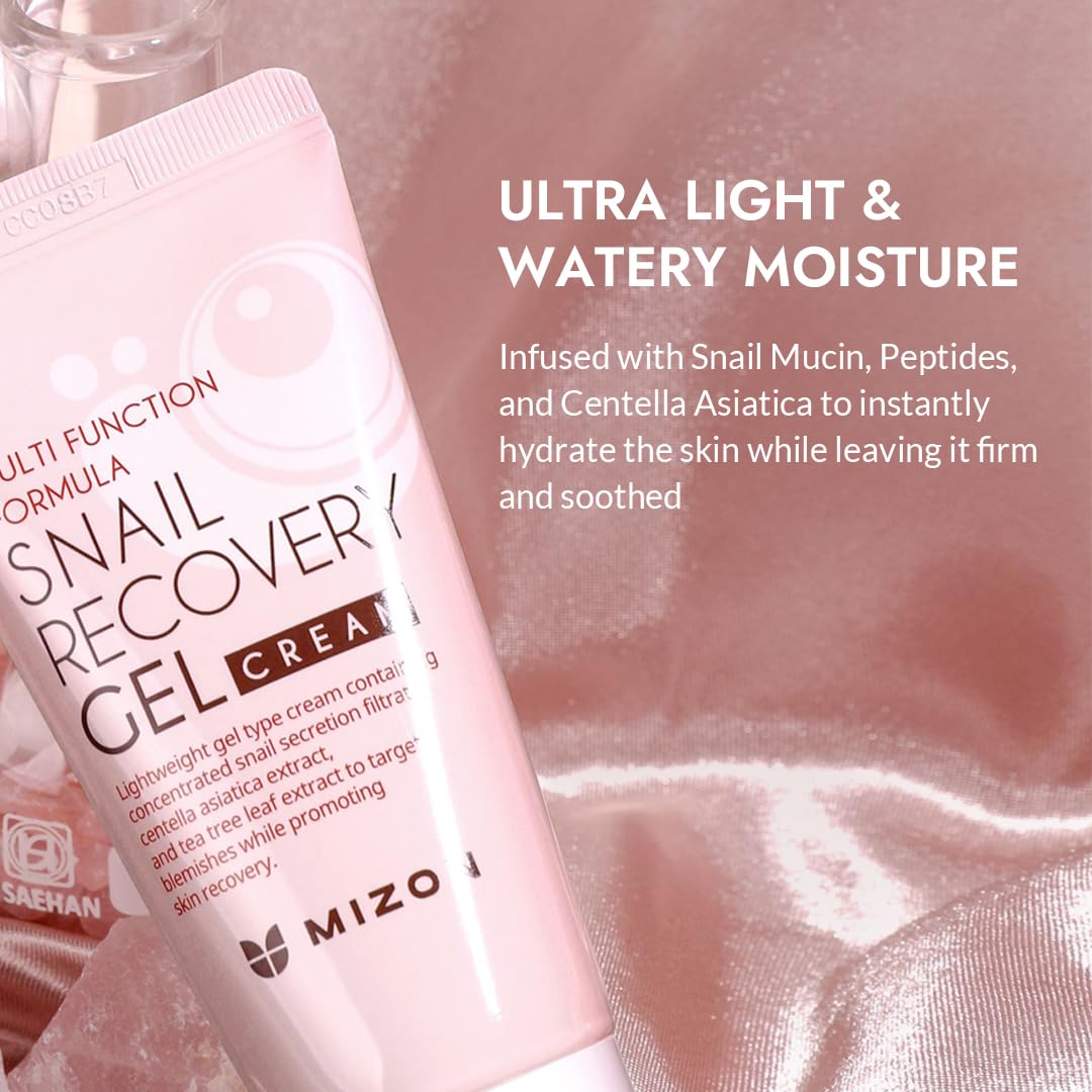 MIZON Snail Recovery Gel Cream, Wrinkle Care, Skin Elasticity, Moisture, Fragrance-Free, Paraben-Free (45ml 1.52 fl. oz)