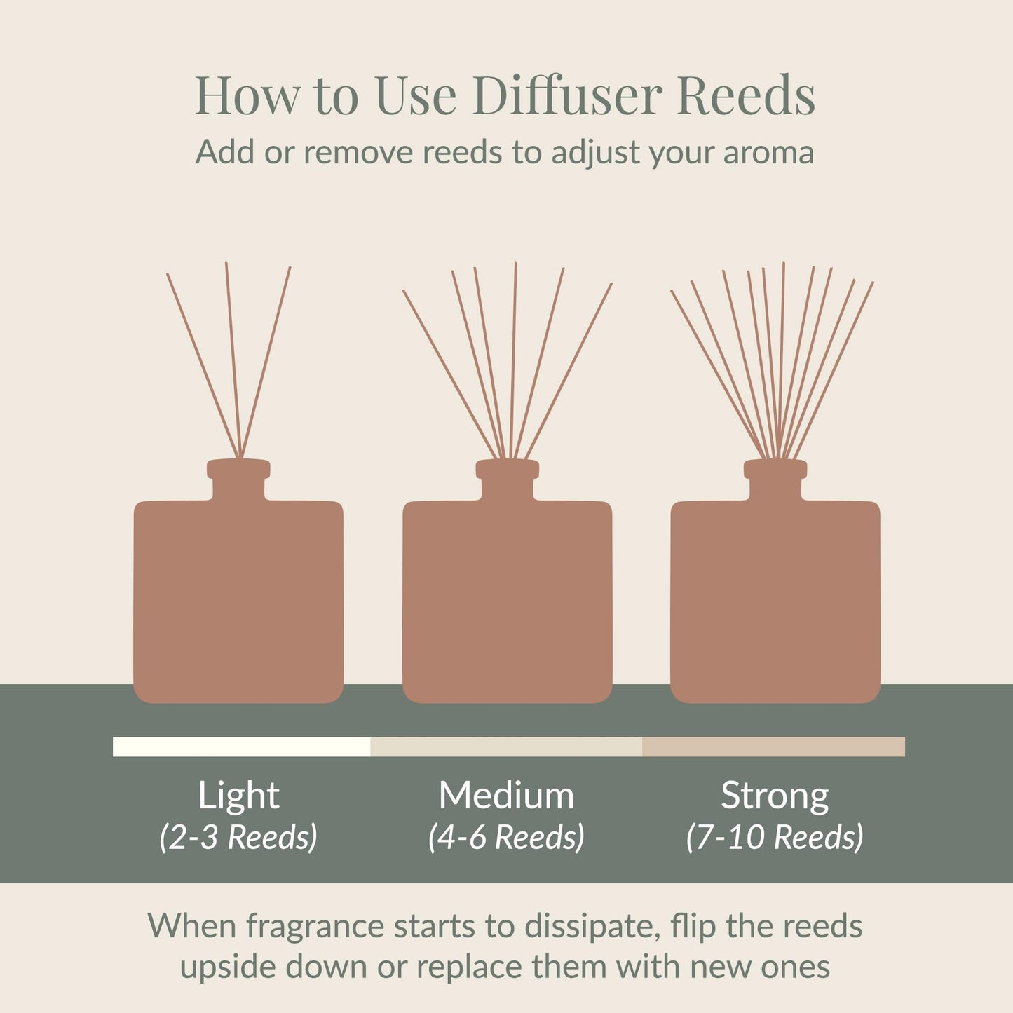Archipelago Botanicals Stonehenge Reed Diffuser, Home Fragrance Reed Diffuser, Includes Fragrance Oil, Frosted Glass Vessel & 10 Diffuser Reeds, Perfect for Home, Office or Gift, 7.6 Fl Oz