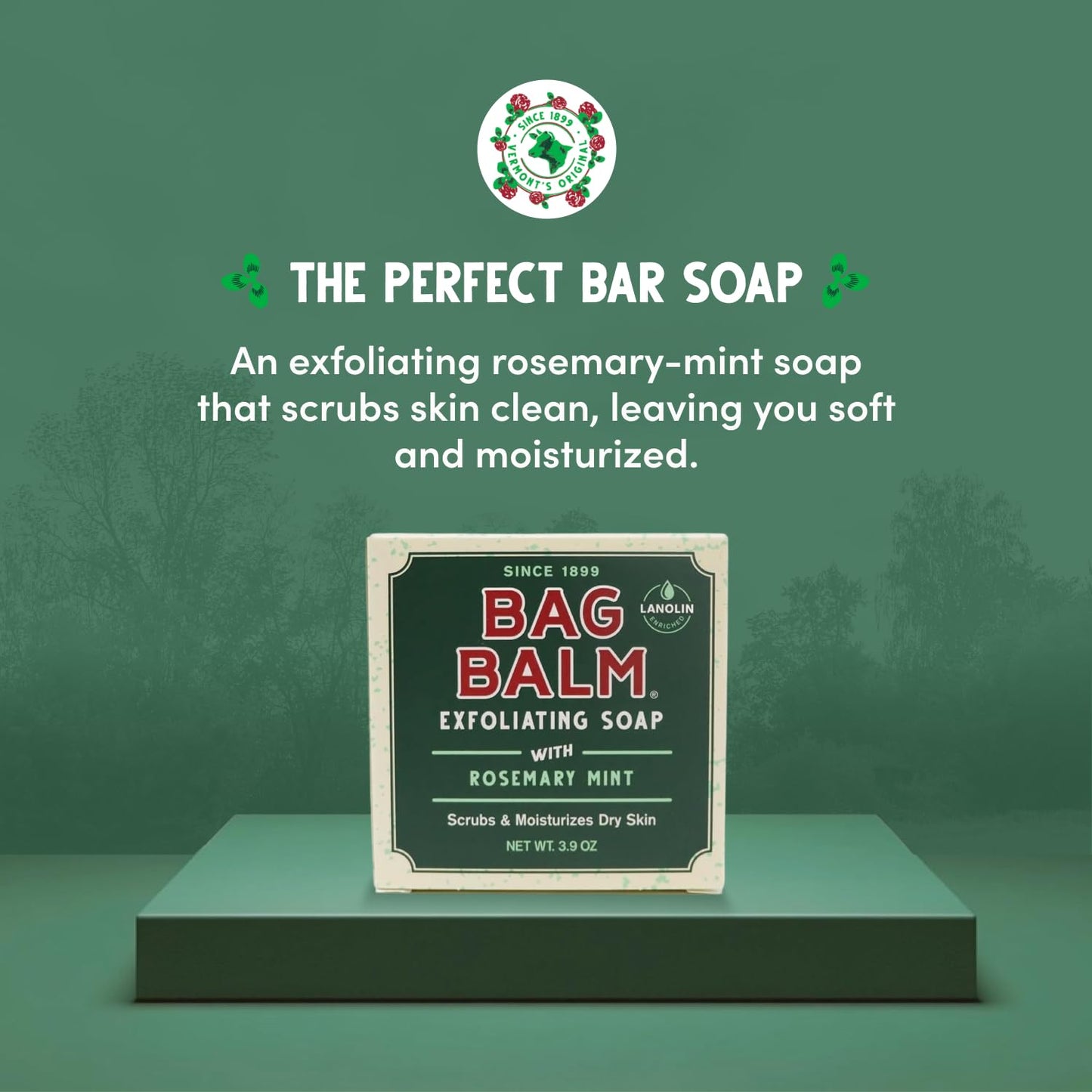 Bag Balm Vermont's Original Exfoliating Soap Bar, Body Soap Bars, Hand Soap Bar - Soap for Dry Skin - Rosemary Mint Scented Bars of Soap, Body Soap Bar - 3.9oz, 3 Pack