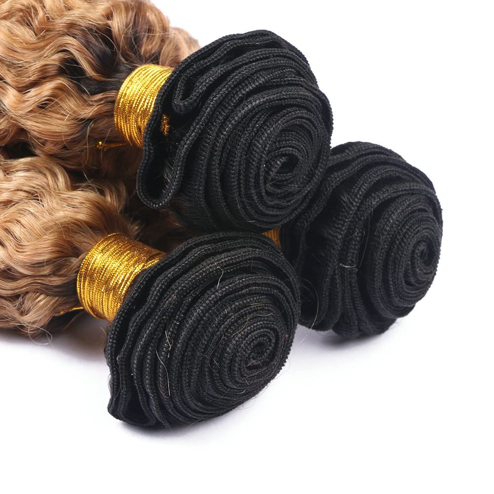 24 26 28 Inch Ombre Deep Wave Bundles Human Hair Honey Blonde Bundles 1b27 Ombre Bundles Brazilian Human Hair Virgin Remy Hair for Black Women 3 Bundles Double Weft 100g/Pc