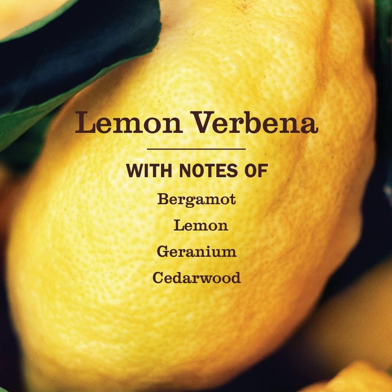 MRS. MEYER'S CLEAN DAY Room Freshener, Lemon Verbena Scent, 8 Ounce Non-Aerosol Spray Bottle (Pack of 3)