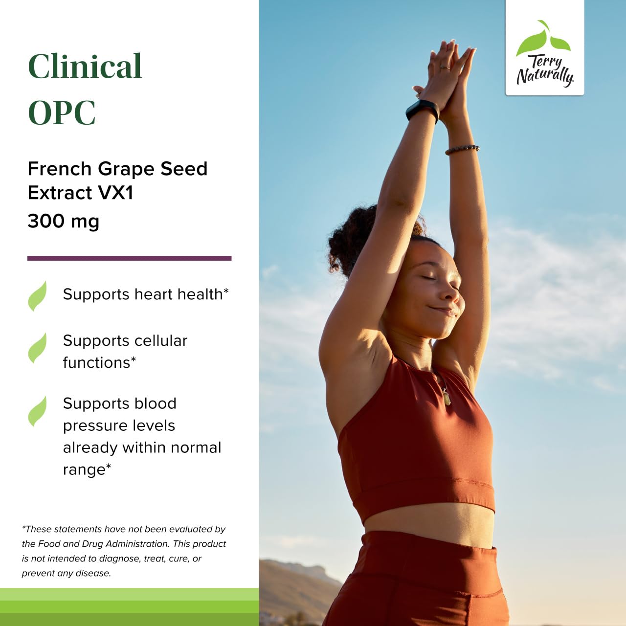 Terry Naturally Clinical OPC - Cardiovascular Health & Focus Support Supplement - Dietary Supplement with Grape Seed Extract & Sunflower Lecithin - Immune Support Supplement - 300 mg, 60 Softgels