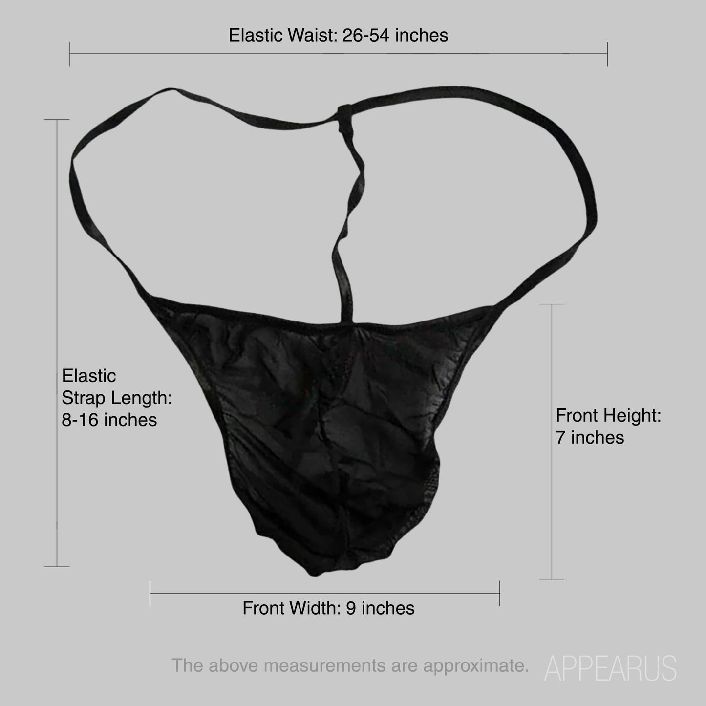 APPEARUS Disposable Women's Black T-String Thong Bikini Panties for Spray Tanning, Hair Removal, One Size (60 Ct./5 bags of 12)