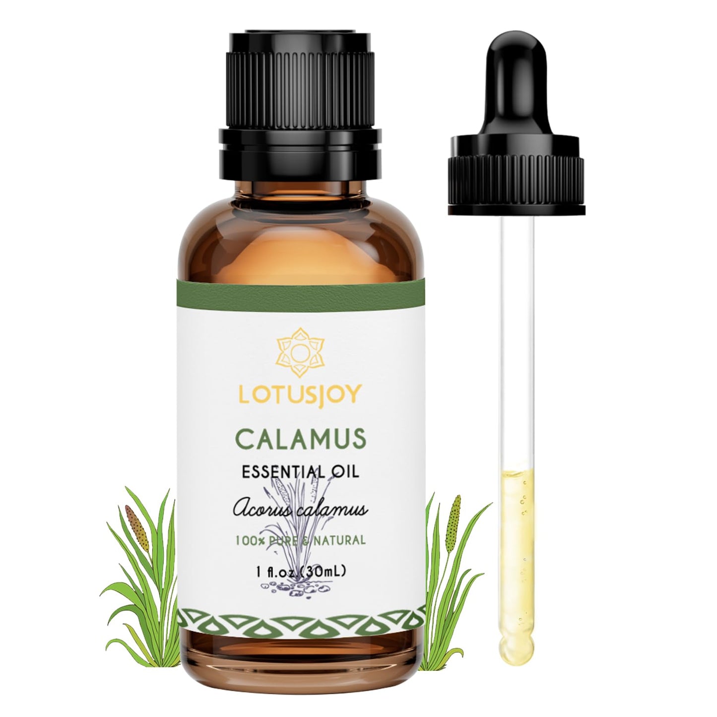 LOTUSJOY Calamus Essential Oil for Skin Hair Diffuser DIY Anointing Oil- 1 Oz
