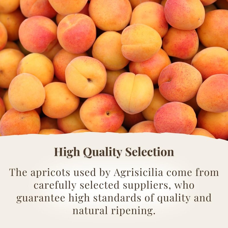 Sicilian Apricot Jam - Authentic Italian Fruit Preserve in Glass Jar | 12.7 oz (360 g)