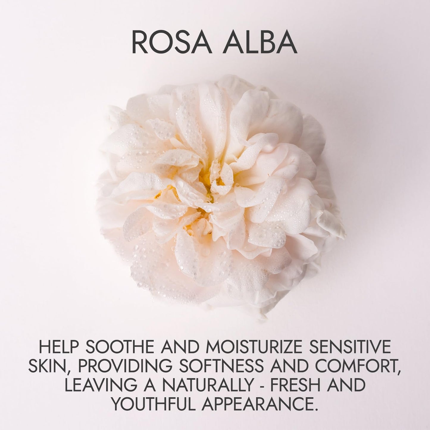 Alteya Organics Organic Bulgarian White Rose Water Facial Toner, BPA Free, 4 Ounce (Pack of 1)