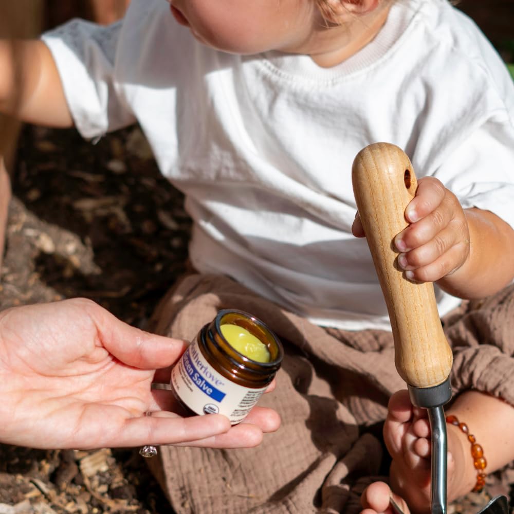 Motherlove Green Salve (1 oz) Family-Friendly Outdoor Adventure Ointment to Soothe Skin - USDA Organic