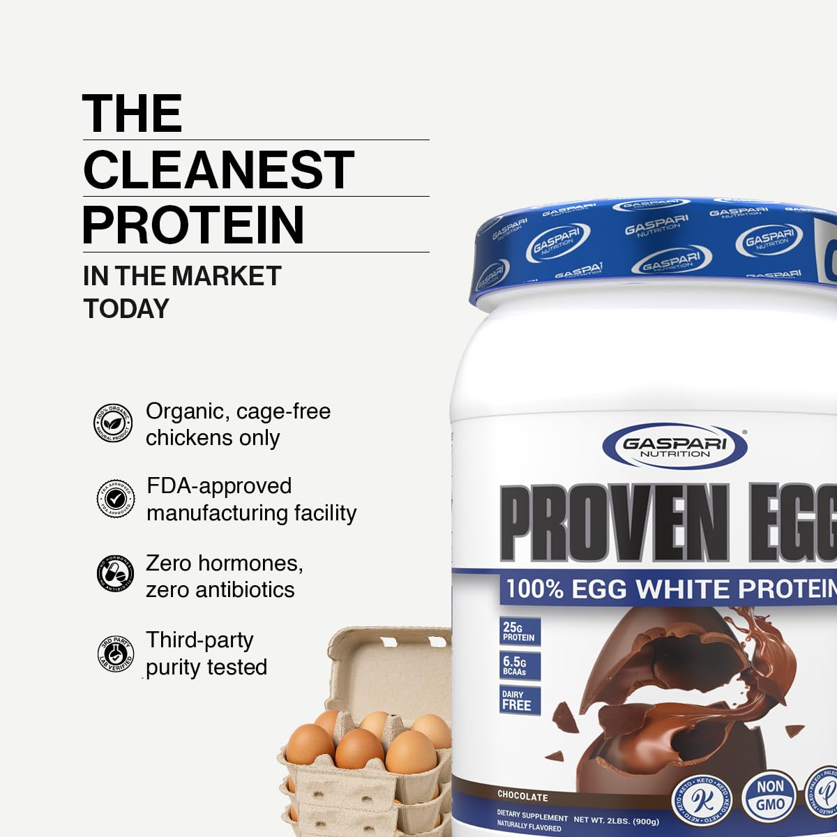 Gaspari Nutrition Proven Egg White Protein Powder, 100% Egg White Protein, 25g Dairy Free Protein Powder, Keto Friendly, Lactose, & Soy Free (2 lbs, Banana Nut Bread)