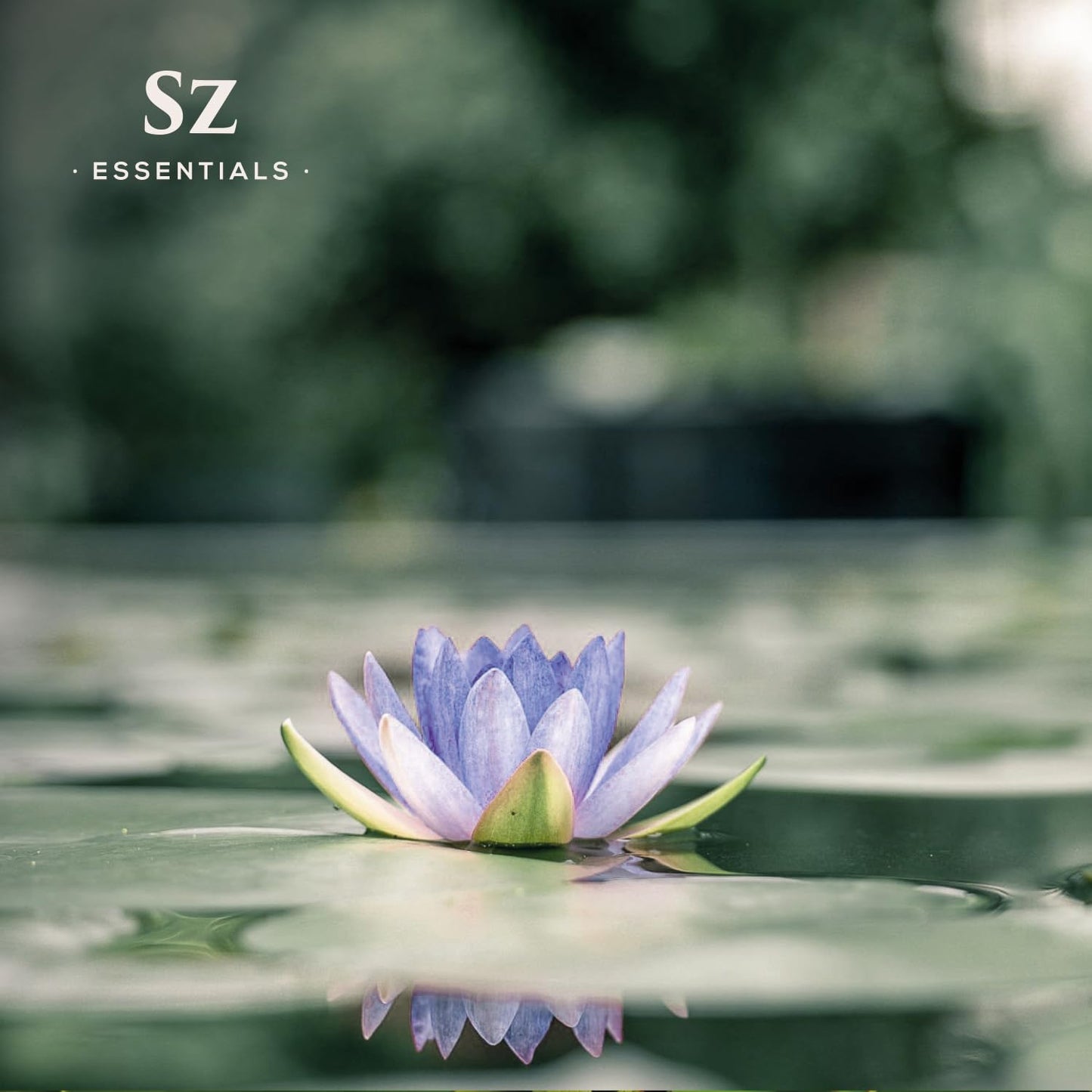 SZ Essentials - Blue Lotus Essential Oil 100% Pure, Undiluted Oil - Extracted from Nymphaea Caerulea - Rich & Sweet Scent with Fruity Overtones - Therapeutic Grade & Vegan - 0.17oz (5ml)