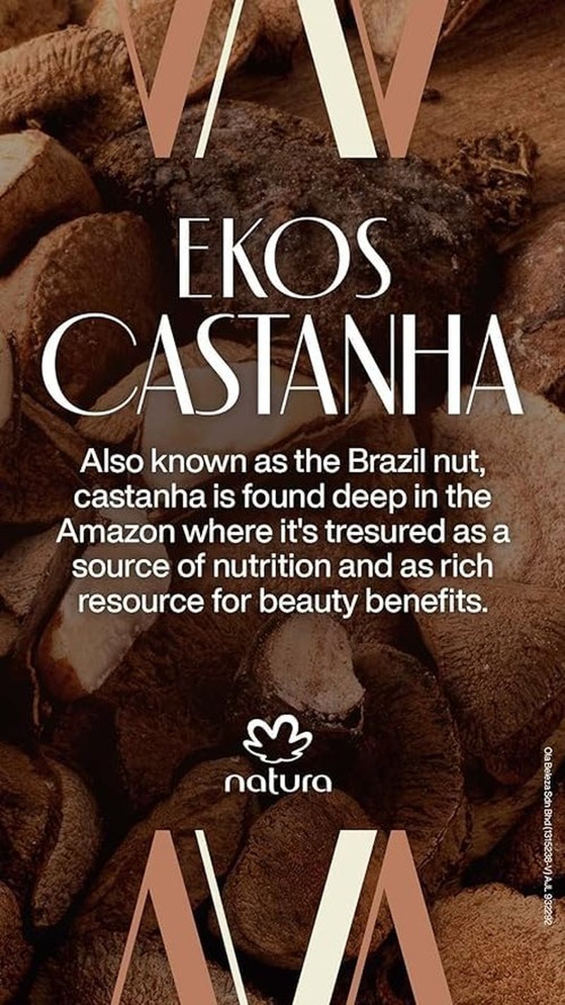 natura - Ekos Castanha (Brazil Nut) Renourishing Liquid Hand Soap - Anti-Dryness - Coconut Derived Cleanser - Vegan Skin Care - Brazilian Beauty Secrets - Self Care & Body Care - 8.4 fl oz (250ml)