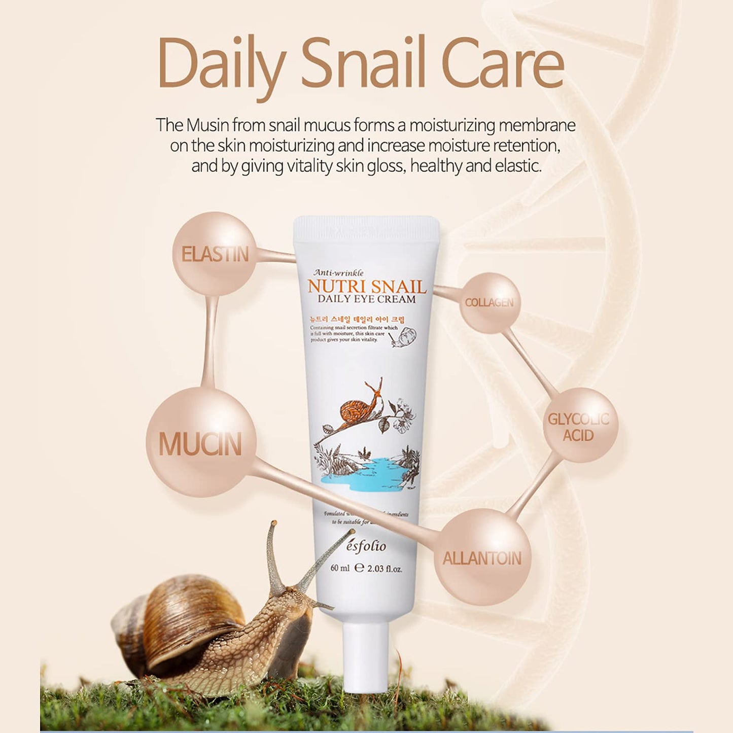 Esfolio Collagen Daily Eye Cream – Firming Hydrolyzed Collagen Formula for Under-Eye Care – Lightweight Moisturizer with Botanical Extracts – Korean Skincare (60 ml / 2.03 fl oz)