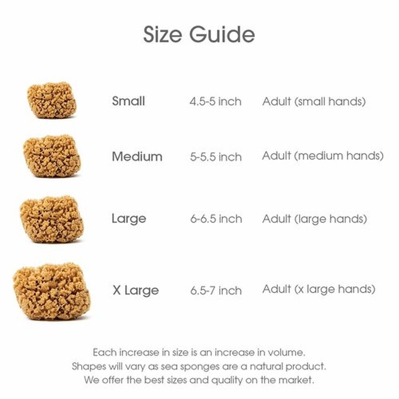 Naroa Massage Natural Shower Sponge | Unbleached Body Scrubber Puff | Bath Sponge for Healthy Skin | Eco Friendly Sustainable Sea Sponge (Massage - Medium)