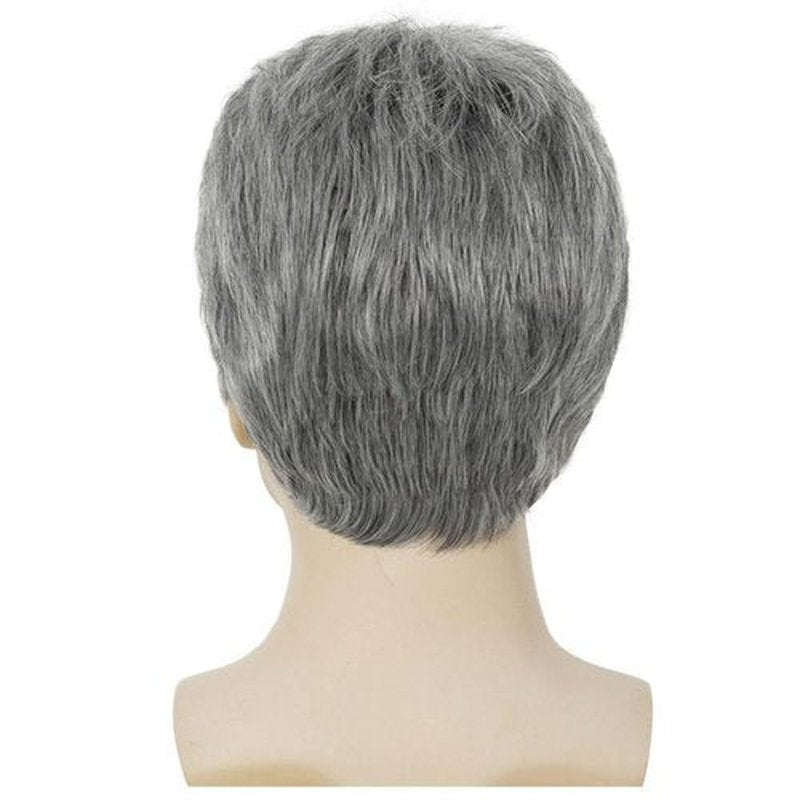 Dai Cloud Grey Mens Wig Short Side Part Natural Hair Wig for Men Fluffy Synthetic Heat Resistant Male Guy Wig