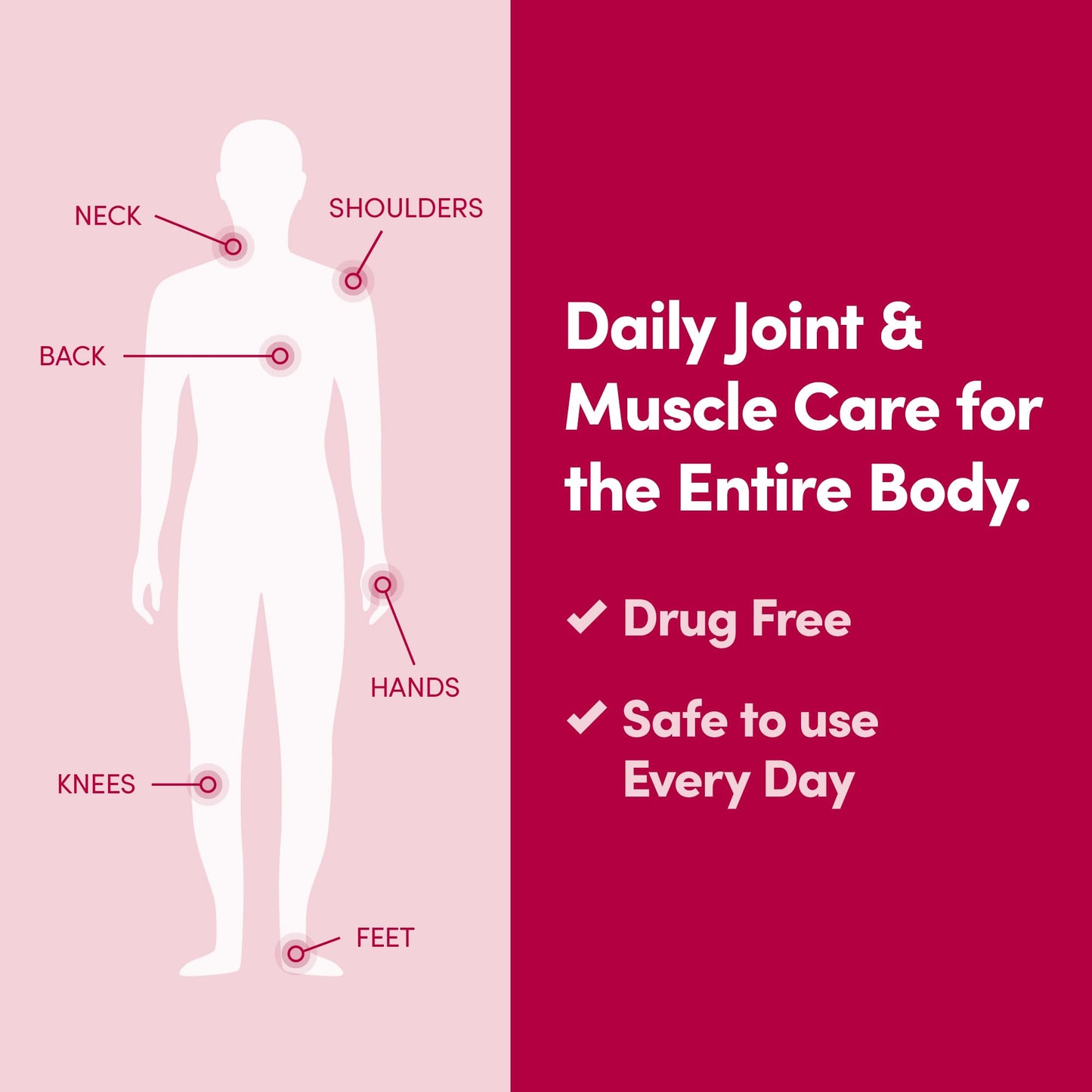 Penetrex Daily Joint & Muscle Care Cream – Soothing Botanical Formula with Arnica, Vitamin B6 & MSM – Lightweight Fast-Absorbing Cream for Everyday Movement - Non-Greasy - Light Scent- 2 oz