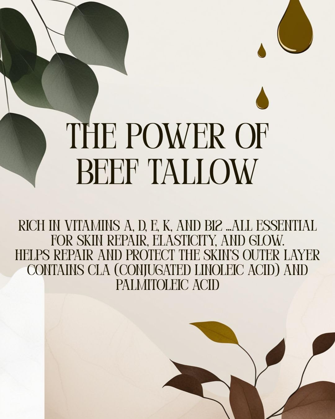 Shiba Organics Divine Tallow Balm - Grass-Fed Tallow Moisturizer for Dry & Sensitive Skin - Deep Hydration & Skin Barrier Support - Face & Body - 2 FL OZ