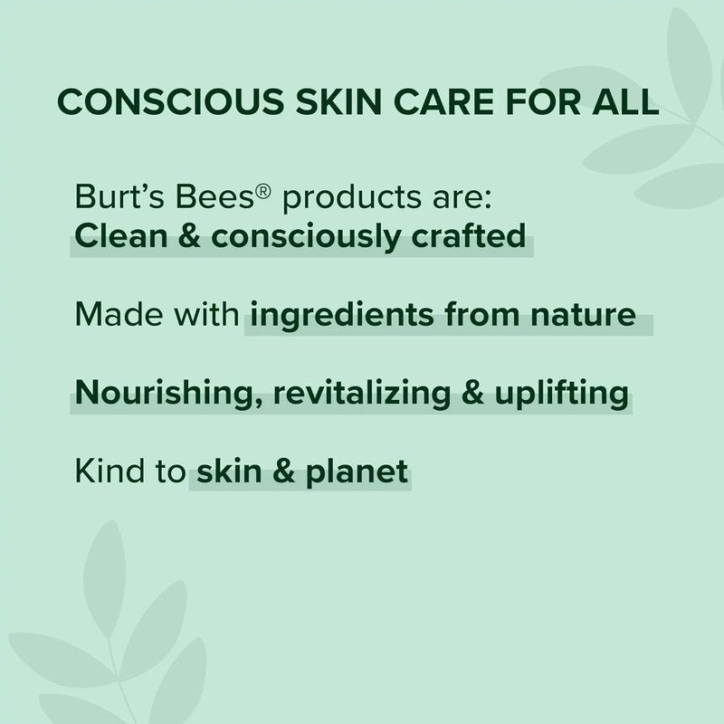 Burt's Bees Lip Balm - Ultra Conditioning Kokum Butter | 0.15 oz (Pack of 5)