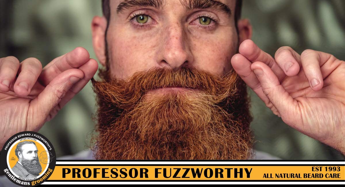 Professor Beard Shampoo & Magnetic Soap Holder Men's Grooming Gift Kit