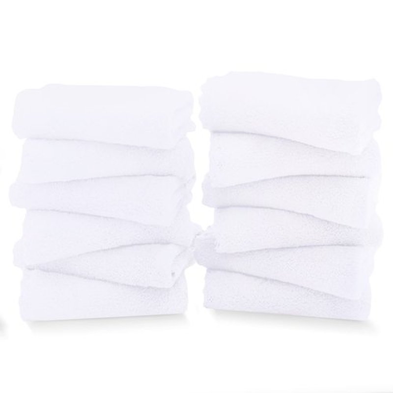 TENSTARS 12 Pack Premium Washcloths Set - Quick Drying- Soft Microfiber Coral Velvet Highly Absorbent Wash Clothes - Multipurpose Use as Bath, Spa, Facial, Fingertip Towel (White)