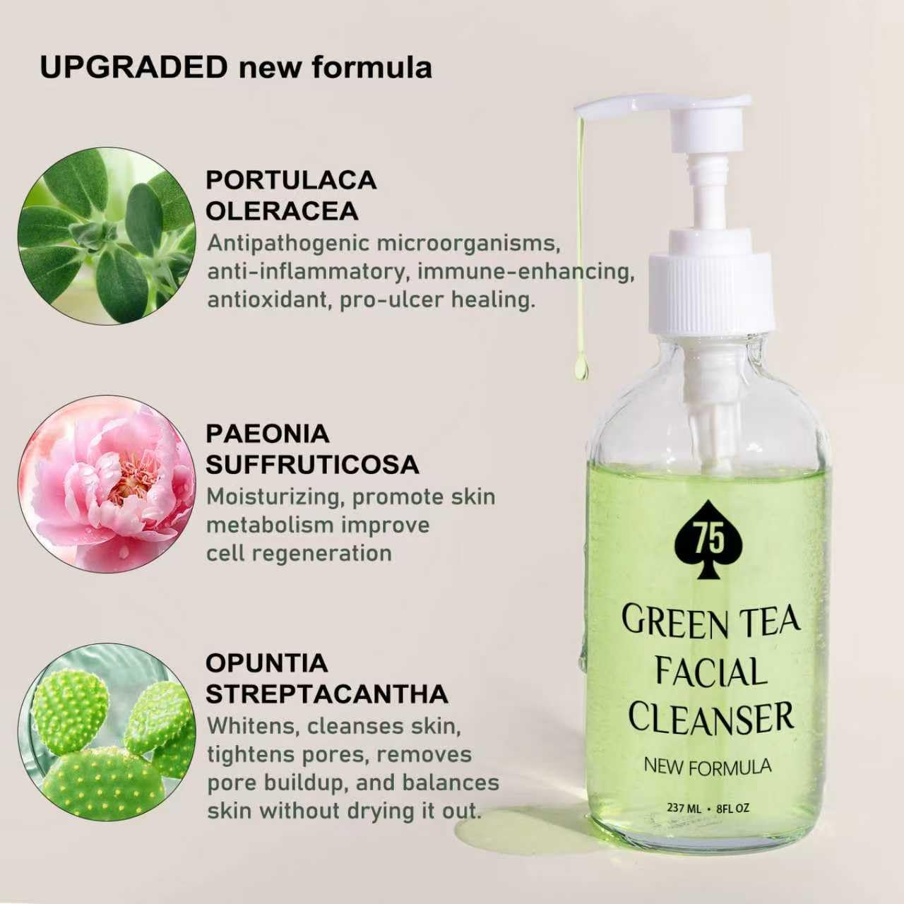 75 Green Tea Face Wash, Hydrating Facial Cleanser with Vitamins A, C, E, and Kale Extract, Gentle Facial Cleanser for Women, Vegan, pH-Friendly, Water-Based for All Skin Types, 237ML/8 oz