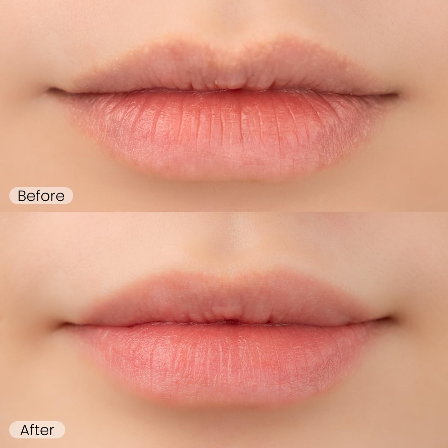 Epielle Lip Balm Duo Watermelon & Mango, Hydrating Tint Sheer, Shea butter & Fruit Extract, Kbeauty, Stocking Stuffers
